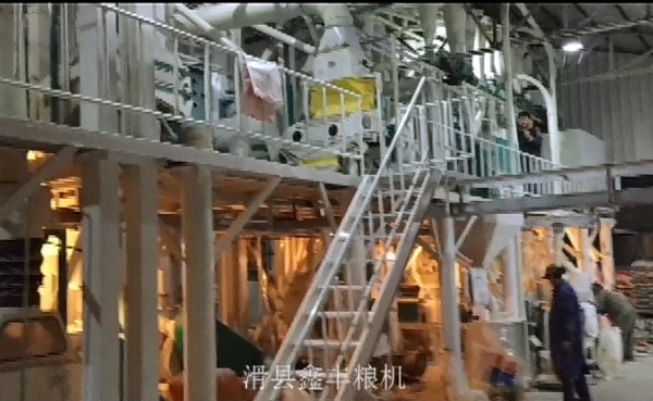 吉林伊通50噸級玉米加工設(shè)備視頻
